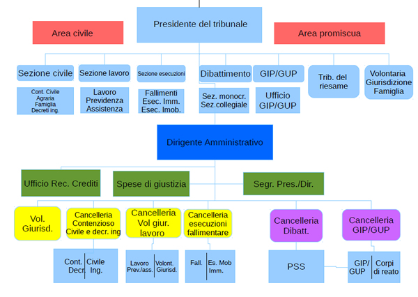 Organigramma